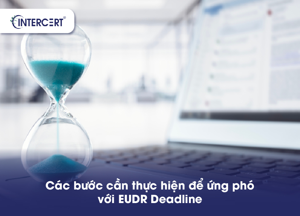 EUDR hiệu lực khi nào