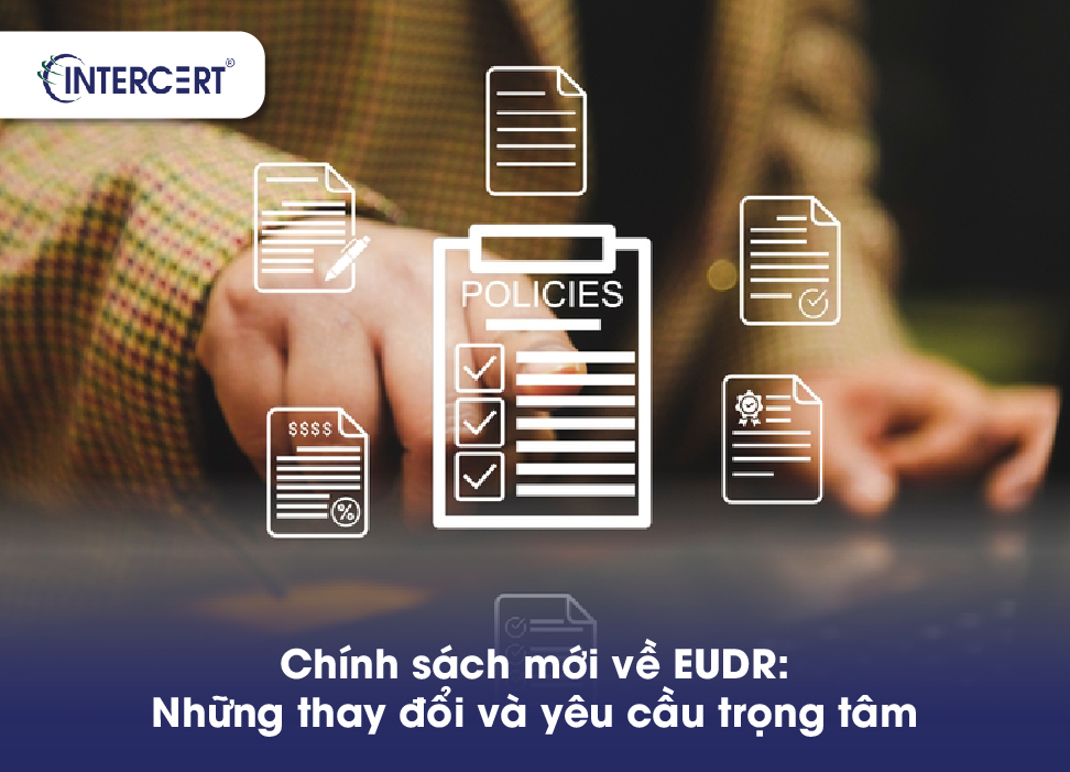 EUDR hiệu lực khi nào