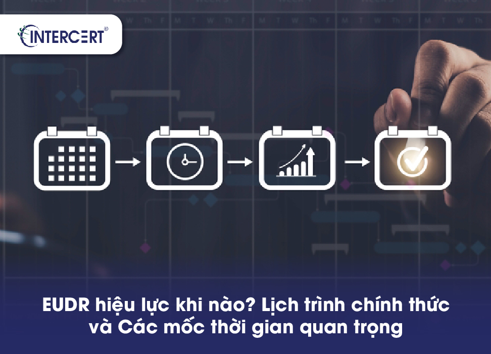EUDR hiệu lực khi nào